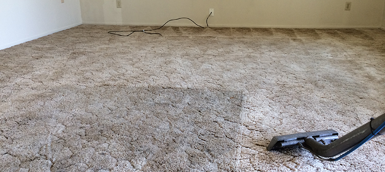 carpet cleaning in visalia, ca